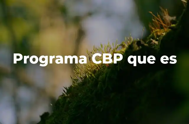 Programa Cbp que es