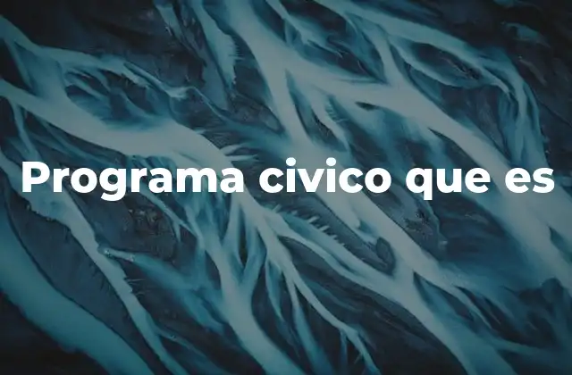 Programa Civico que es
