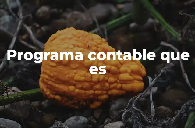 Programa Contable que es