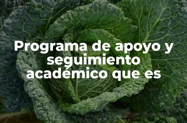 Programa de Apoyo y Seguimiento Académico que es 2 La importancia del acompañamiento en el desarrollo académico