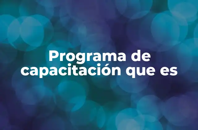 Programa de Capacitación que es