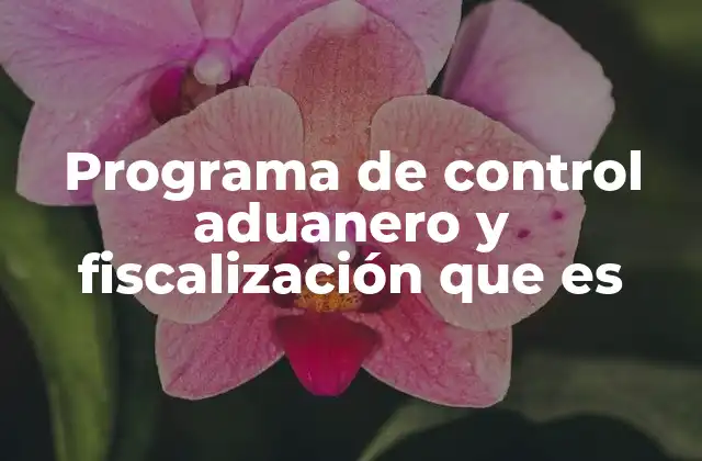 Programa de Control Aduanero y Fiscalización que es