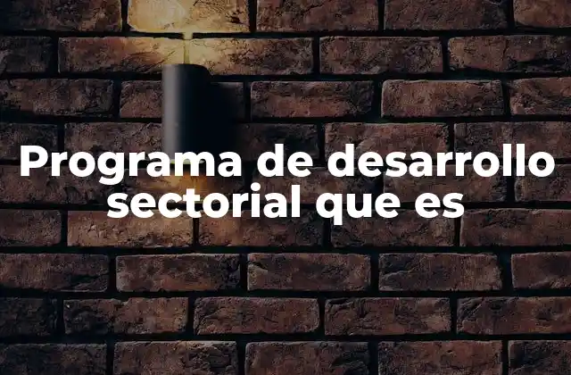 Programa de Desarrollo Sectorial que es 2 Las bases conceptuales detrás del desarrollo sectorial