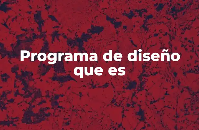 Programa de Diseño que es