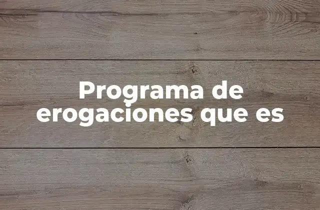 Programa de Erogaciones que es