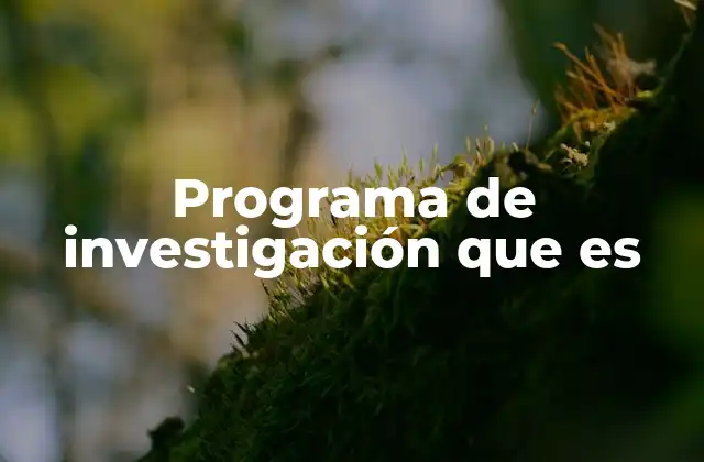 Programa de Investigación que es 2 El papel de los programas de investigación en el desarrollo académico