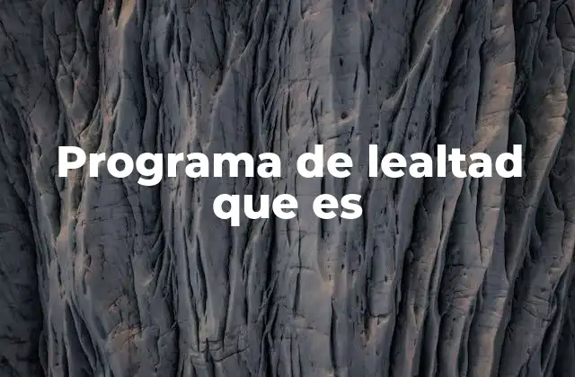 Programa de Lealtad que es