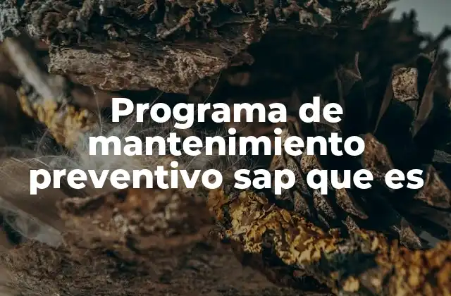 Programa de Mantenimiento Preventivo Sap que es 2 Cómo SAP mejora la gestión del mantenimiento industrial