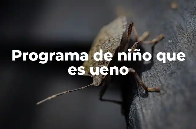 Programa de Niño que es Ueno