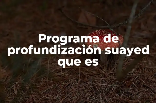 Programa de Profundización Suayed que es