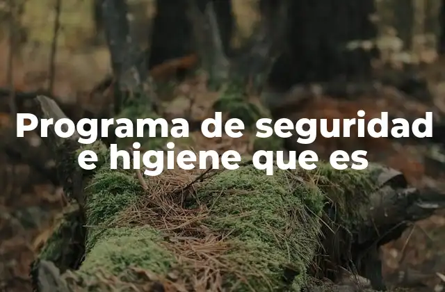 Programa de Seguridad e Higiene que es 2 La importancia de los programas de seguridad en el lugar de trabajo