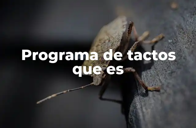Programa de Tactos que es