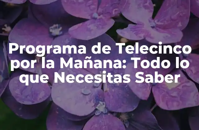 Programa de Telecinco por la Mañana: Todo Lo que Necesitas Saber