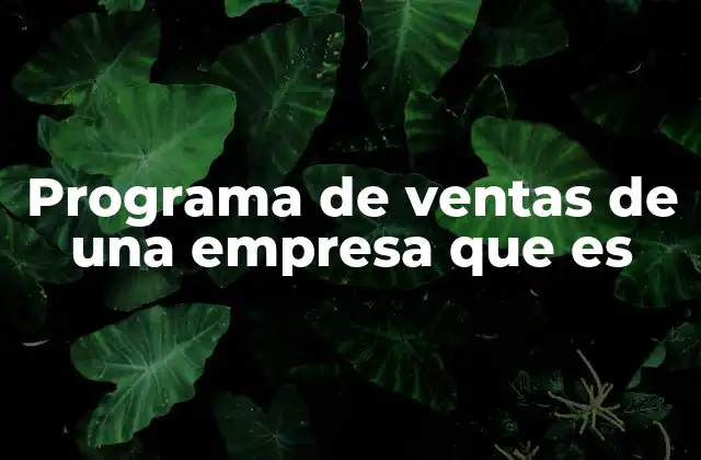 Programa de Ventas de una Empresa que es