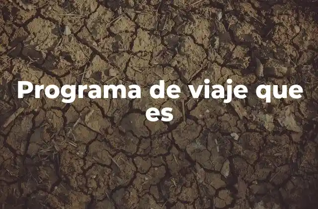 Programa de Viaje que es