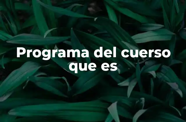 Cómo interpretar el contenido de un plan de estudios