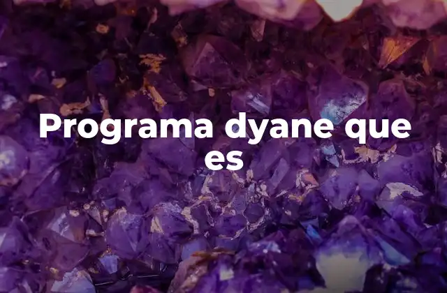 Programa Dyane que es