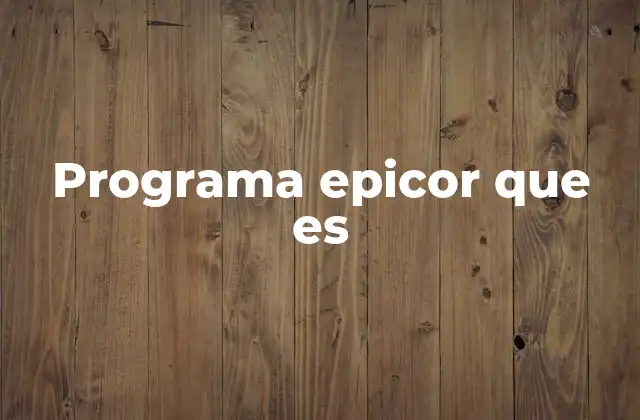 Programa Epicor que es