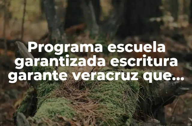 Cómo funciona el programa Escuela Garantizada en Veracruz