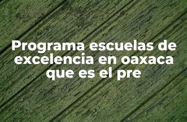 Programa Escuelas de Excelencia en Oaxaca que es el Pre
