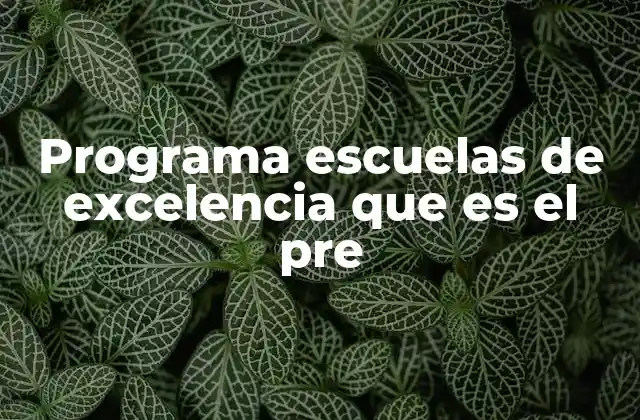 Programa Escuelas de Excelencia que es el Pre
