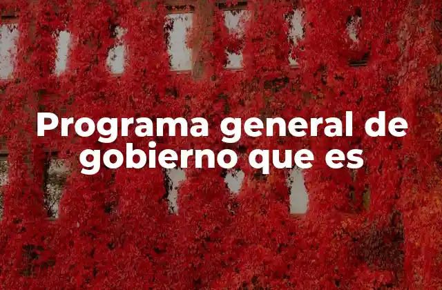 Programa General de Gobierno que es