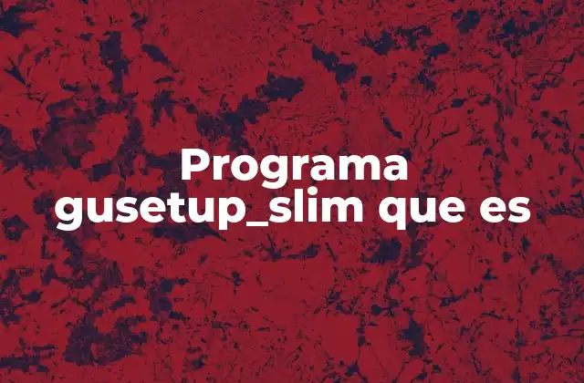 Programa Gusetup_slim que es