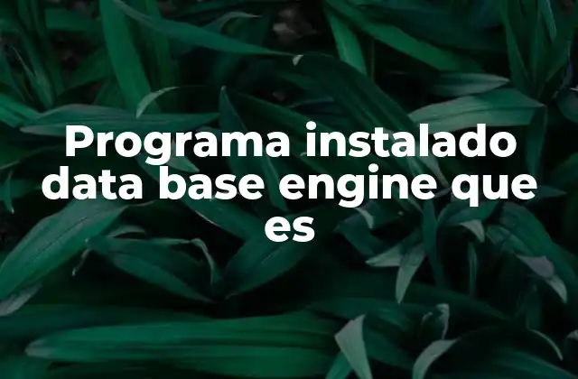 Programa Instalado Data Base Engine que es
