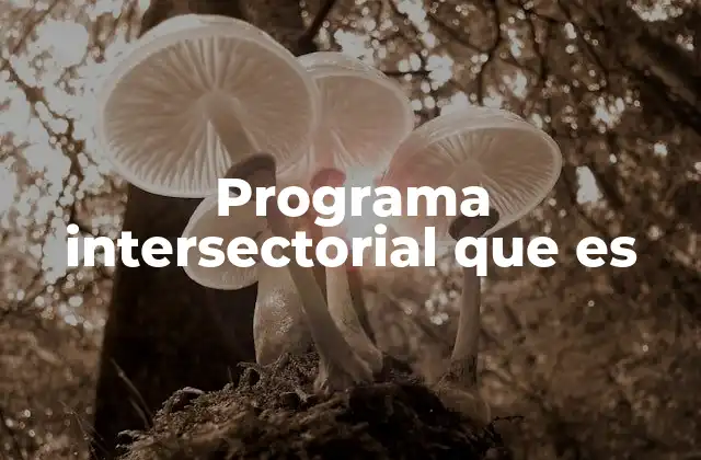 Programa Intersectorial que es