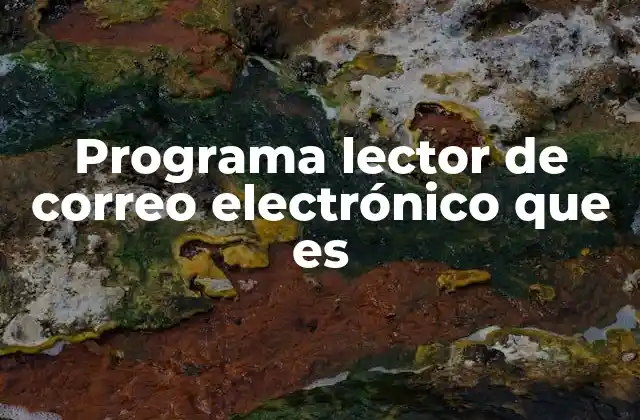 Programa Lector de Correo Electrónico que es
