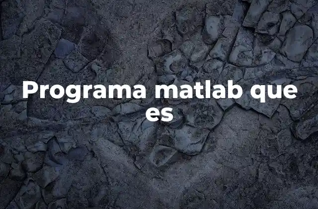 Programa Matlab que es