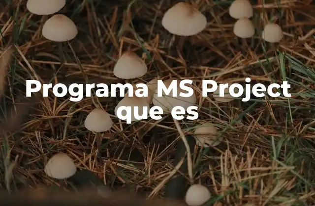 Programa Ms Project que es