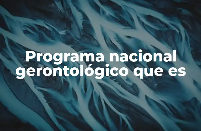 Programa Nacional Gerontológico que es