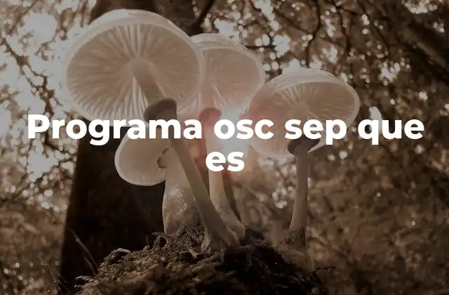 Apoyos para el sistema educativo de jóvenes en situación de pobreza