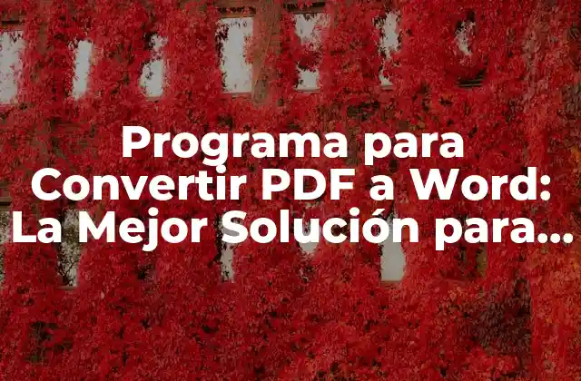 Programa para Convertir Pdf a Word: la Mejor Solución para Editar Documentos