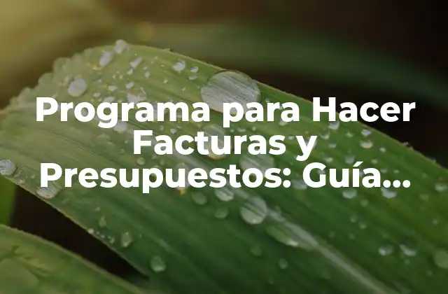Programa para Hacer Facturas y Presupuestos: Guía Completa