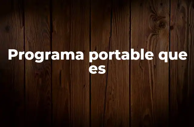 Programa Portable que es