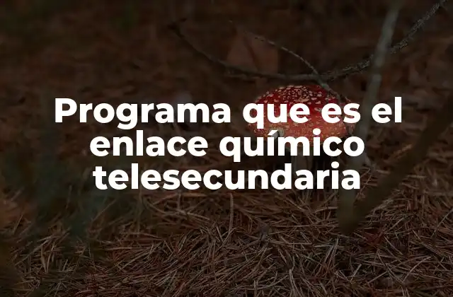 Programa que es el Enlace Químico Telesecundaria