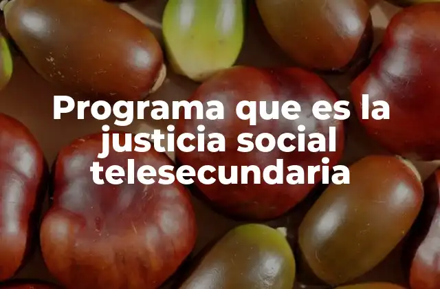 Programa que es la Justicia Social Telesecundaria