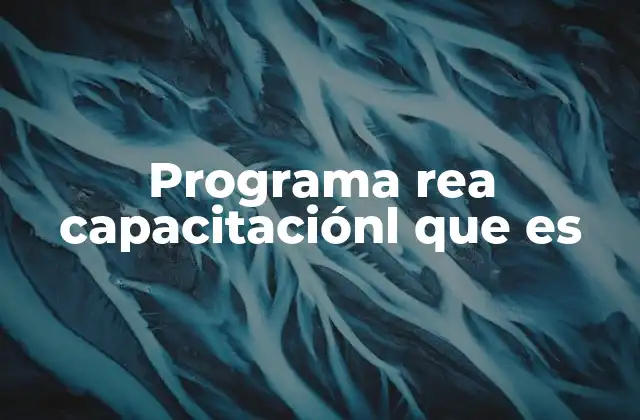 Programa Rea Capacitaciónl que es