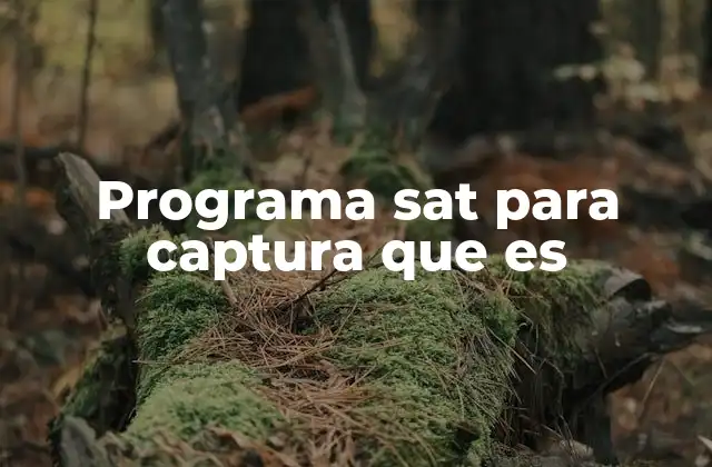 Programa Sat para Captura que es 2 Funcionalidades del software de captura del SAT