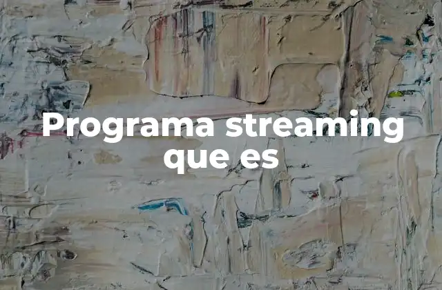 Programa Streaming que es