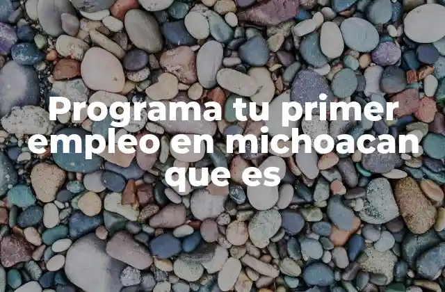Programa Tu Primer Empleo en Michoacan que es