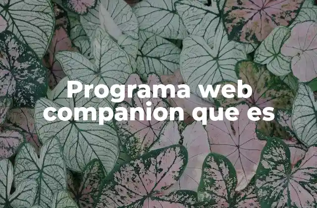 Programa Web Companion que es