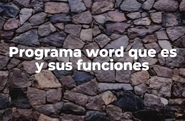 Programa Word que es y Sus Funciones