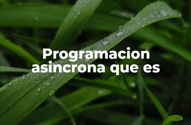 Programacion Asincrona que es