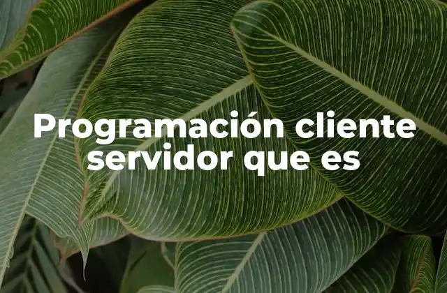 Cómo funciona la arquitectura cliente-servidor