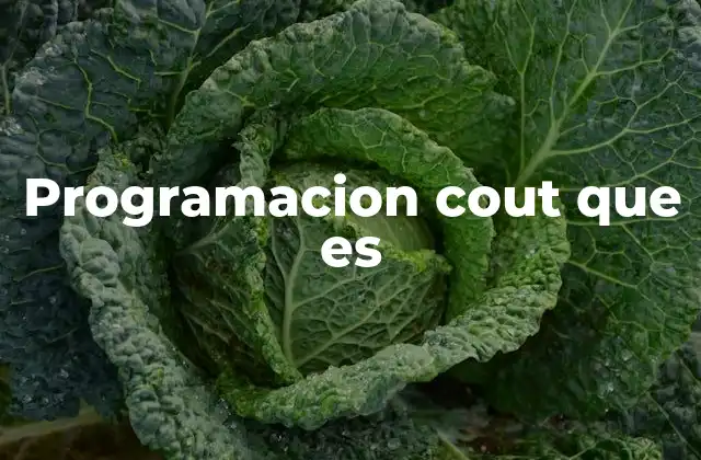 Programacion Cout que es