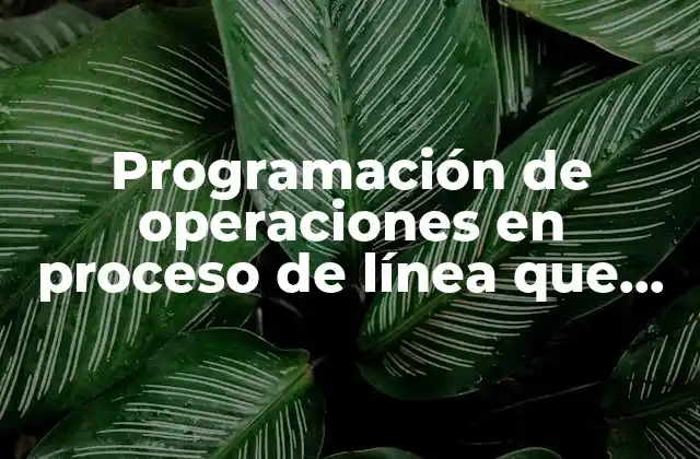 Programación de Operaciones en Proceso de Línea que es 2 La importancia de una programación eficiente en la producción en línea