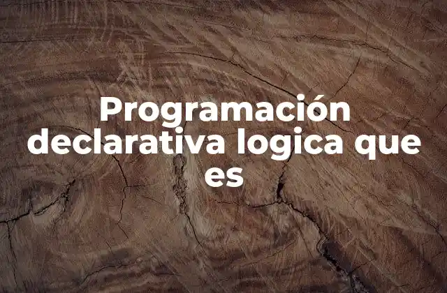 Programación Declarativa Logica que es